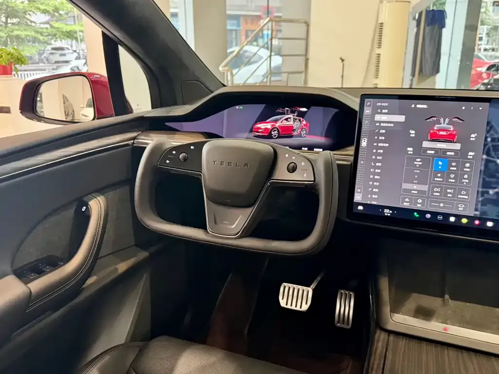 Tesla Model X — фото 10