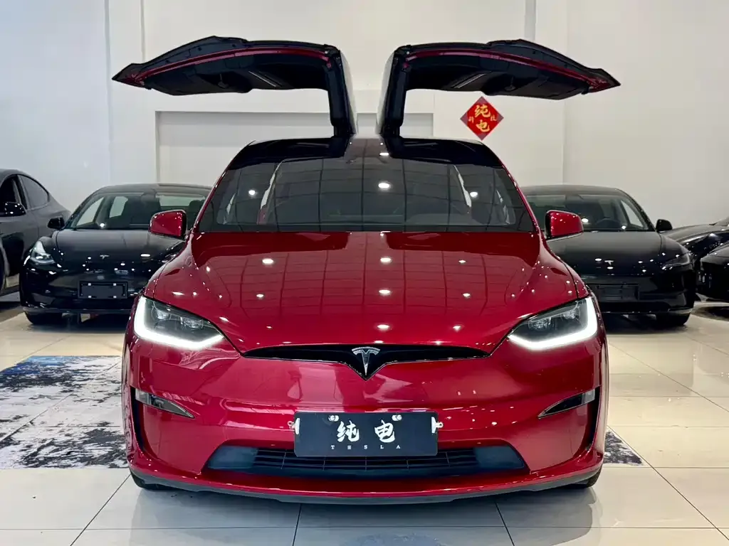 Tesla Model X — фото 6