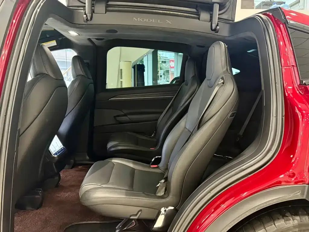 Tesla Model X — фото 4