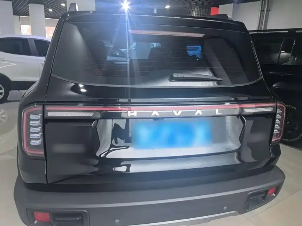 Haval Big Dog — фото 6