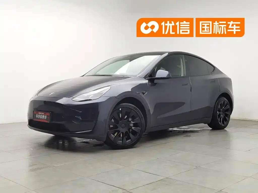 Tesla Model Y — фото 1