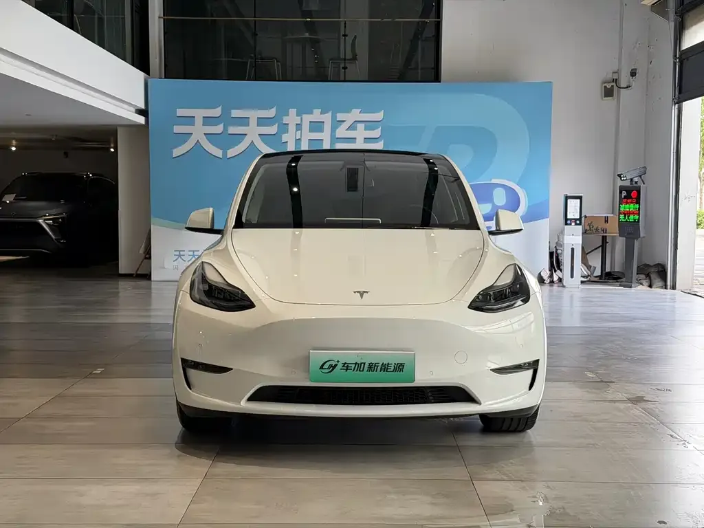 Tesla Model Y — фото 1