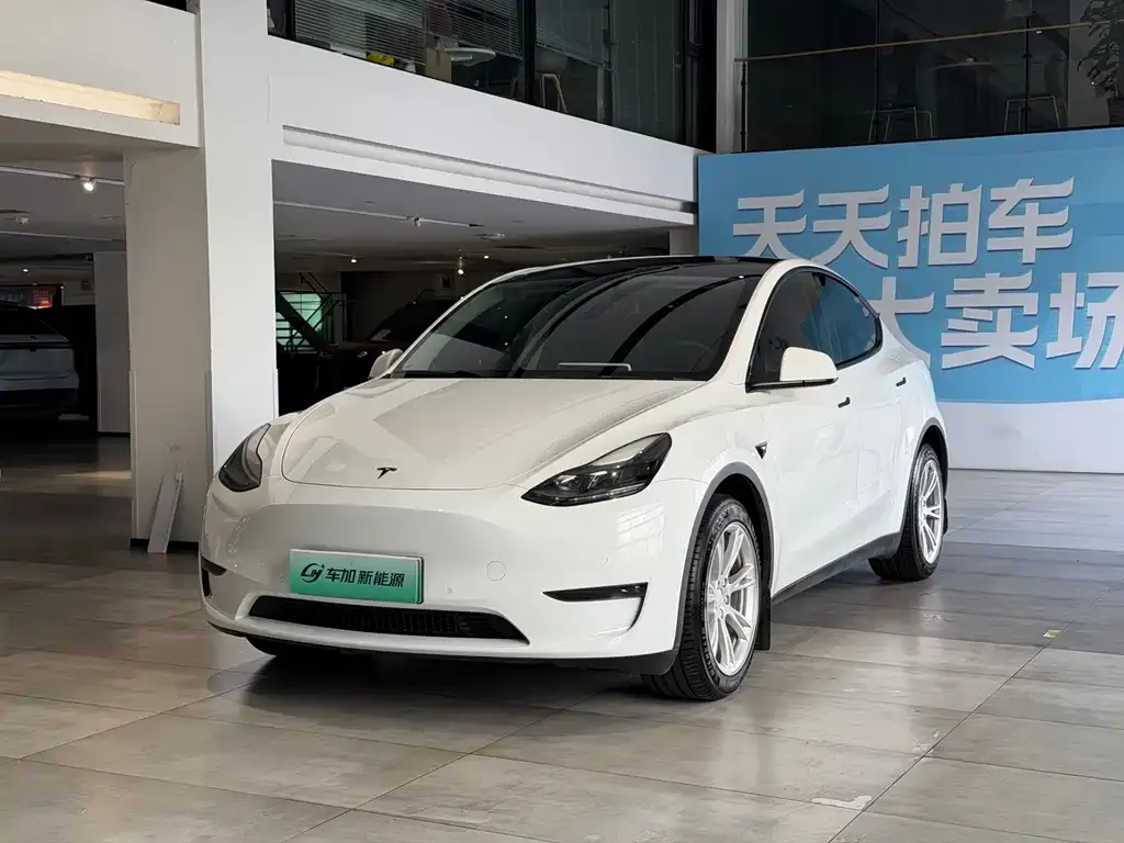 Tesla Model Y — фото 3