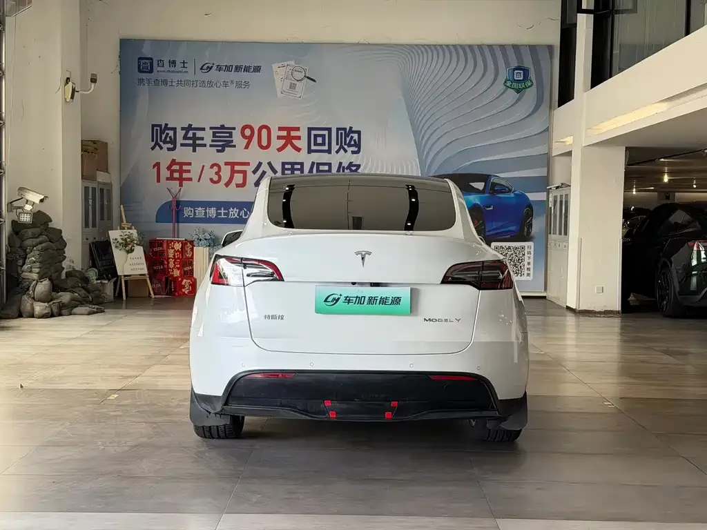 Tesla Model Y — фото 2