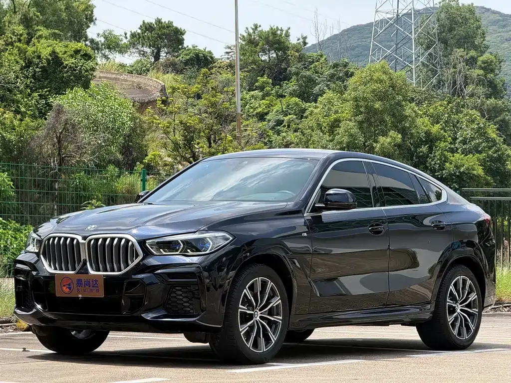 BMW X6 — фото 10