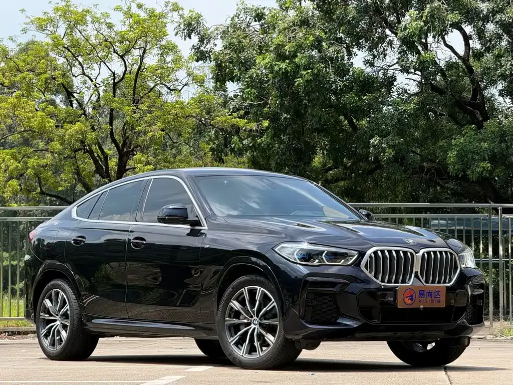 BMW X6 — фото 9