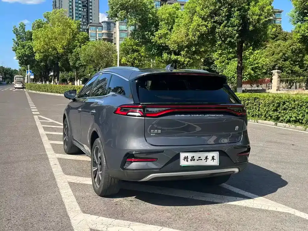 BYD Tang New Energy — фото 10