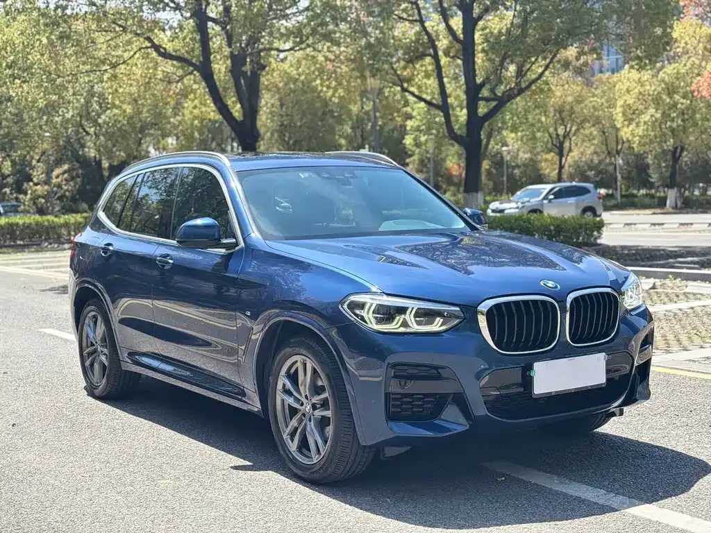 BMW X3 — фото 6