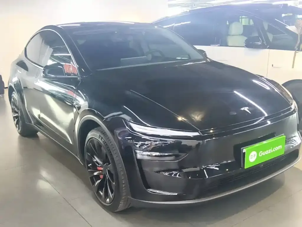 Tesla Model Y — фото 10