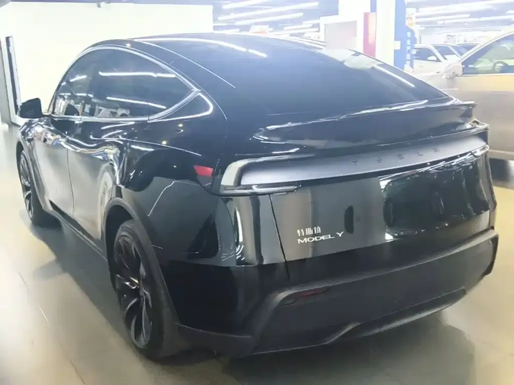 Tesla Model Y — фото 9