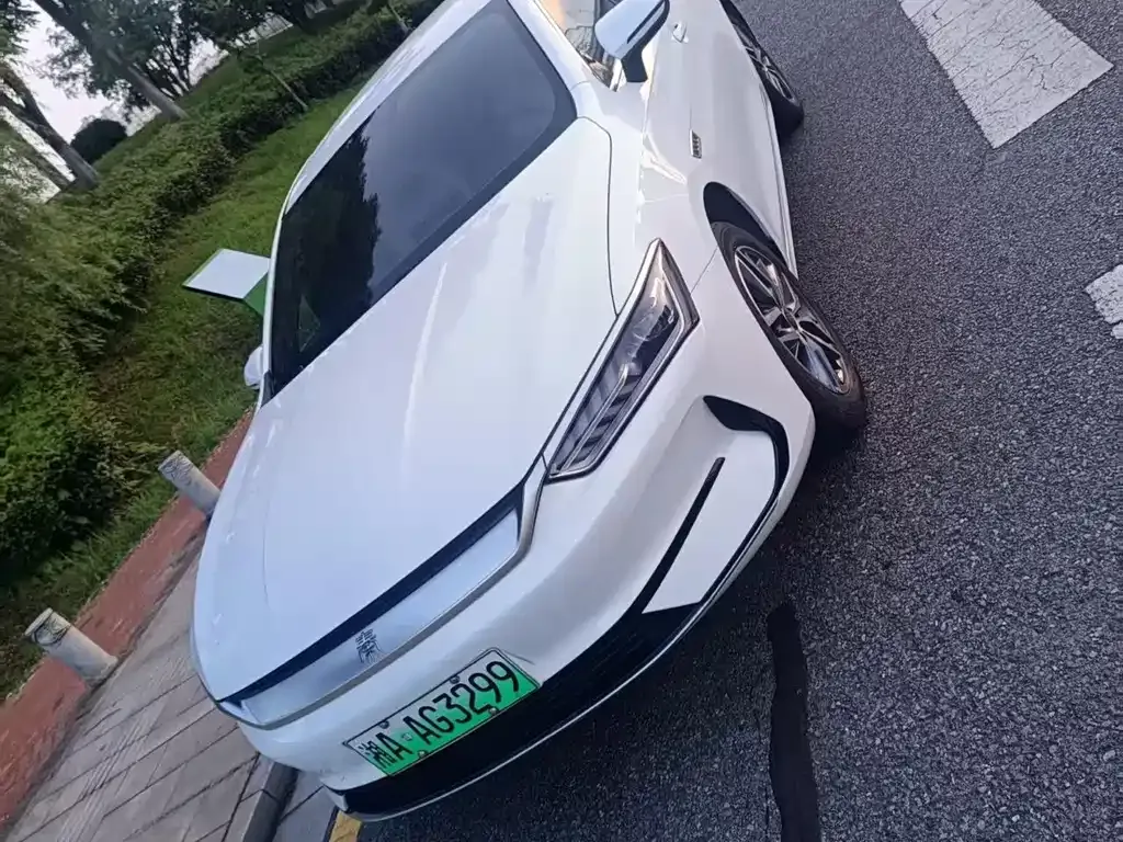 BYD Qin PLUS — фото 1
