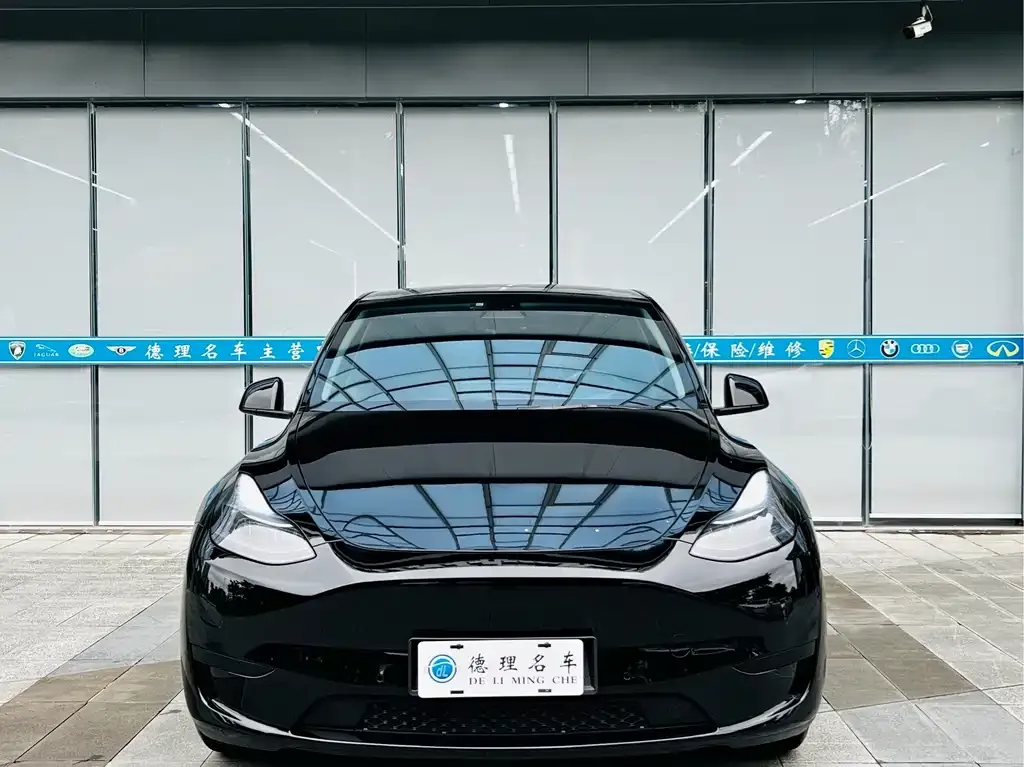 Tesla Model Y — фото 3