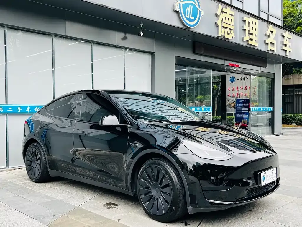Tesla Model Y — фото 9
