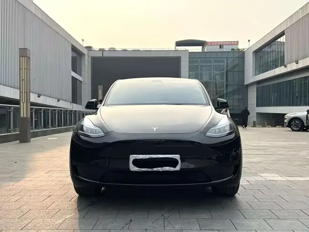 Tesla Model Y — фото 3