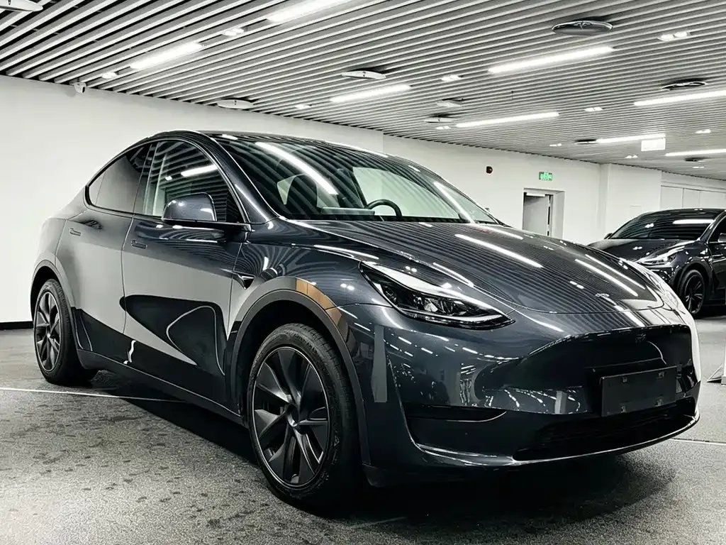 Tesla Model Y — фото 7