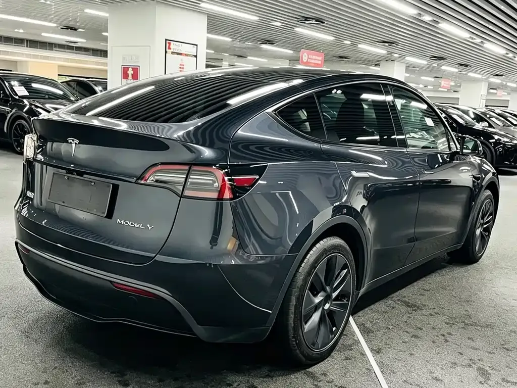 Tesla Model Y — фото 5