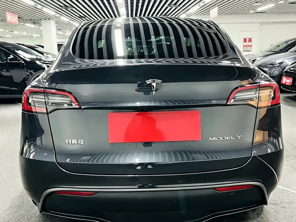 Tesla Model Y — фото 6