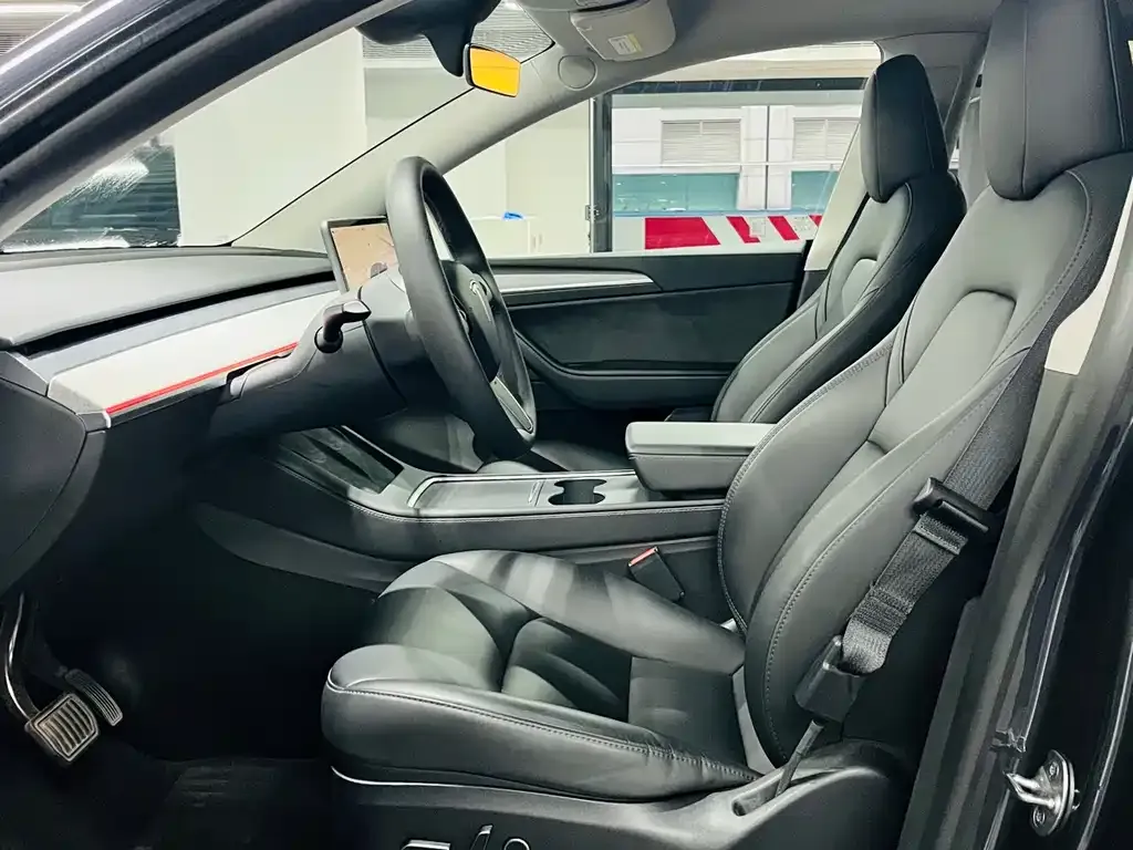 Tesla Model Y — фото 2
