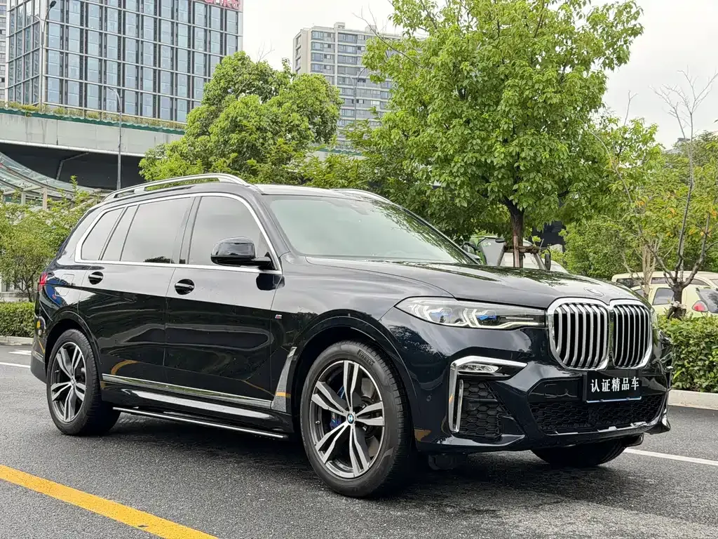 BMW X7 — фото 7