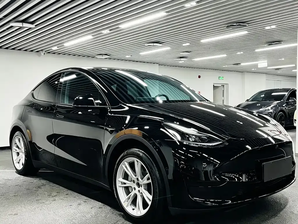 Tesla Model Y — фото 1