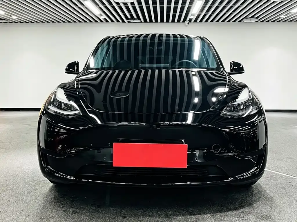 Tesla Model Y — фото 5