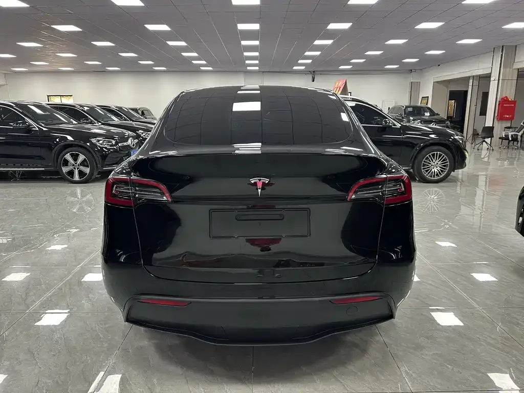 Tesla Model Y — фото 5