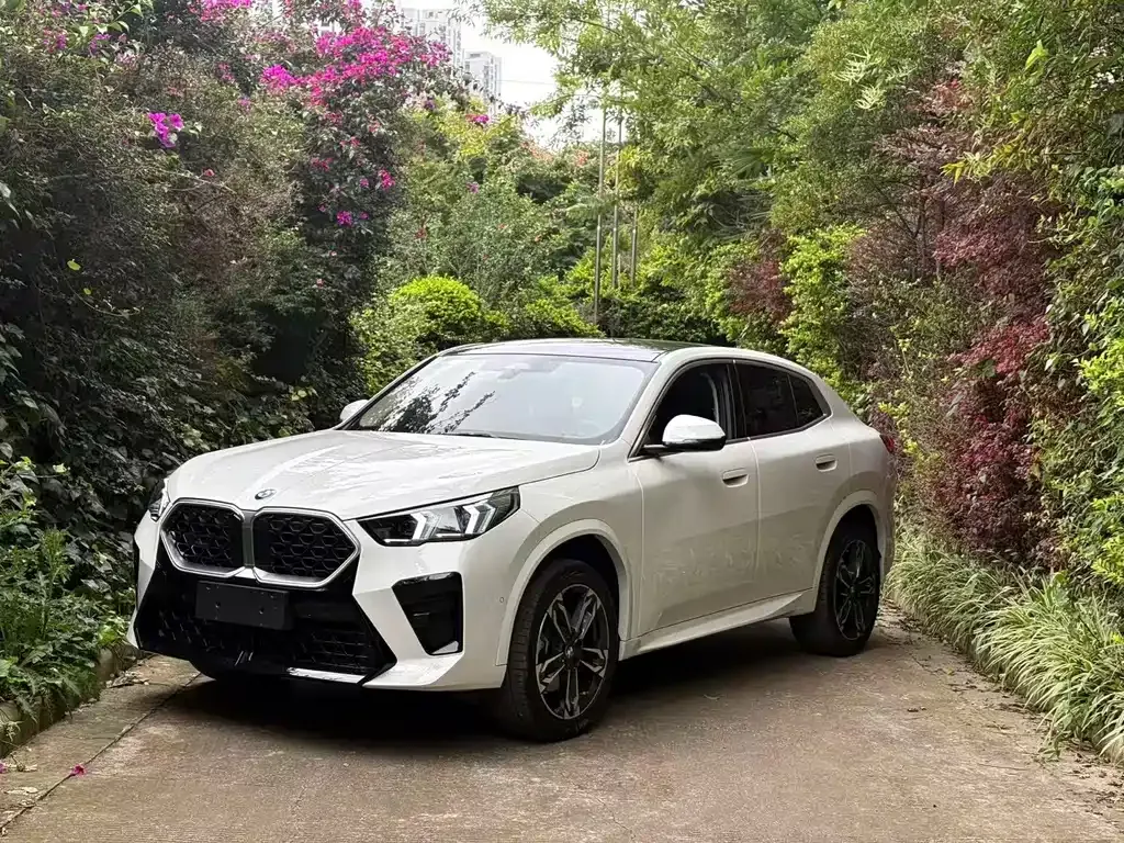 BMW X2 (Import) — фото 1