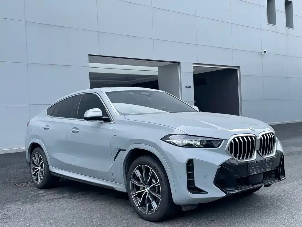 BMW X6 — фото 3
