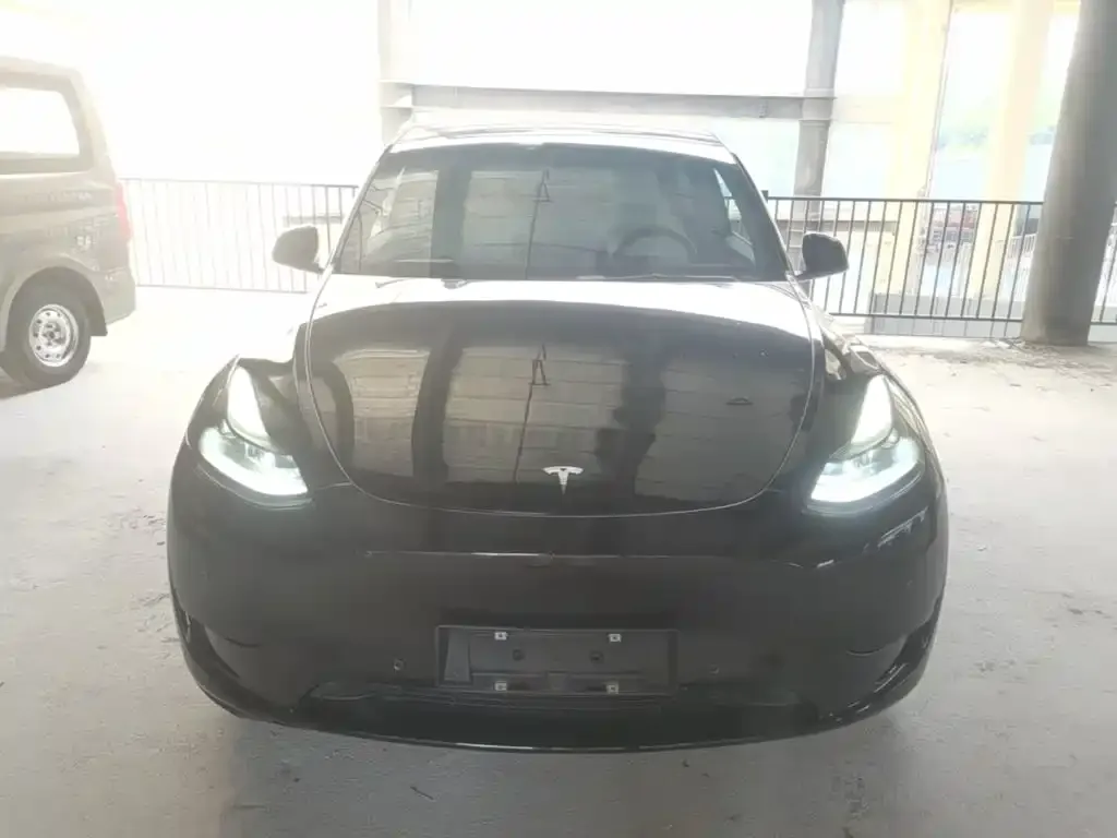 Tesla Model Y — фото 2