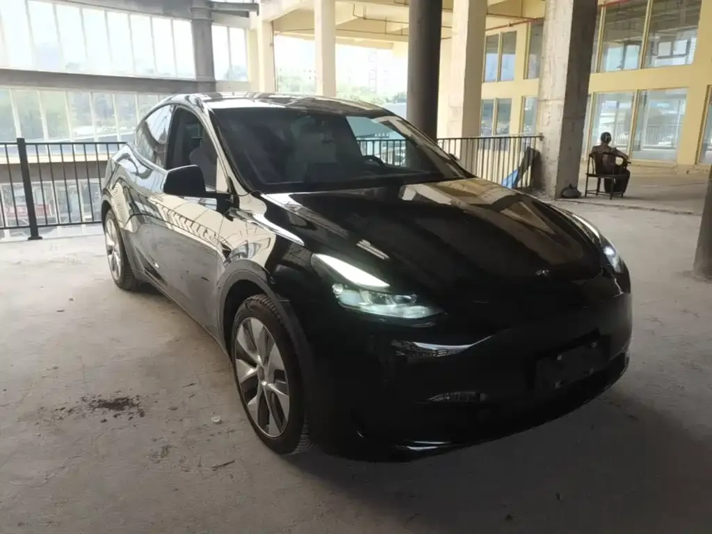 Tesla Model Y — фото 10