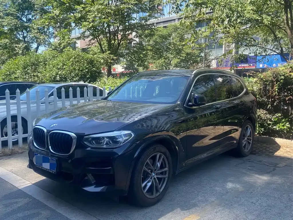BMW X3 — фото 1