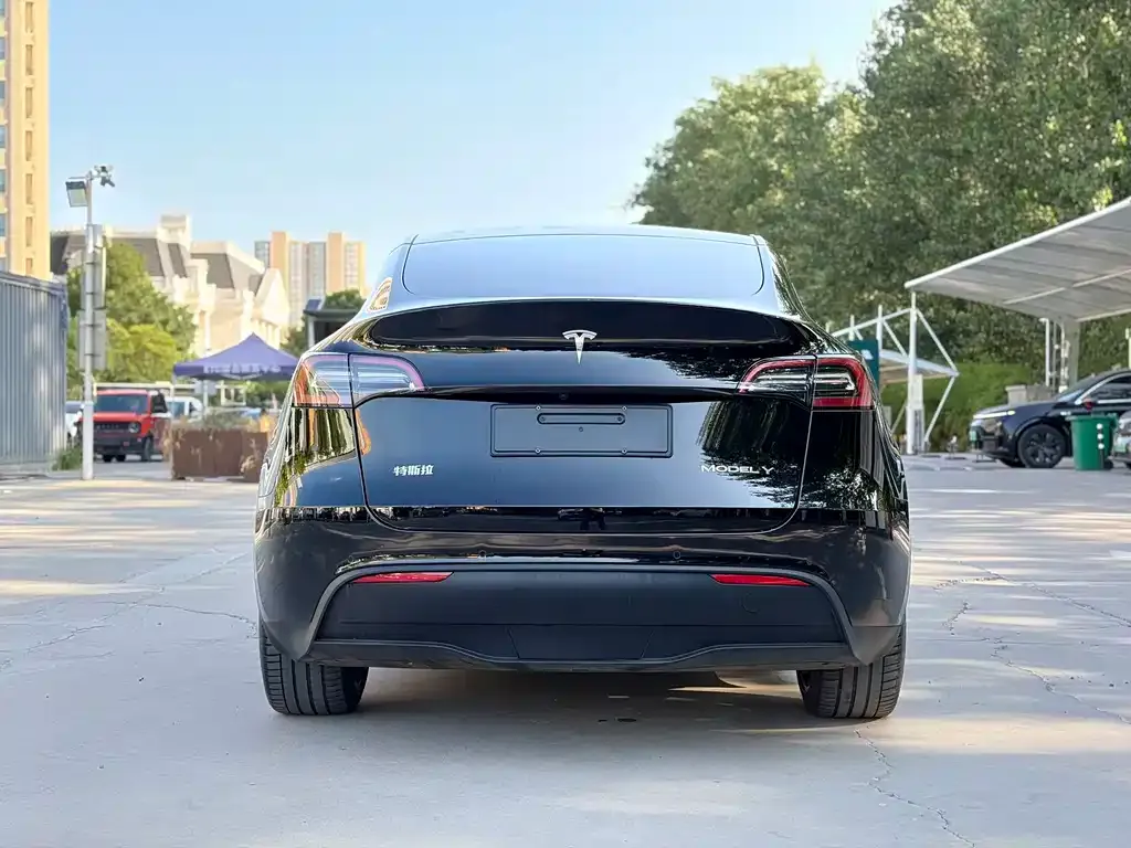 Tesla Model Y — фото 5