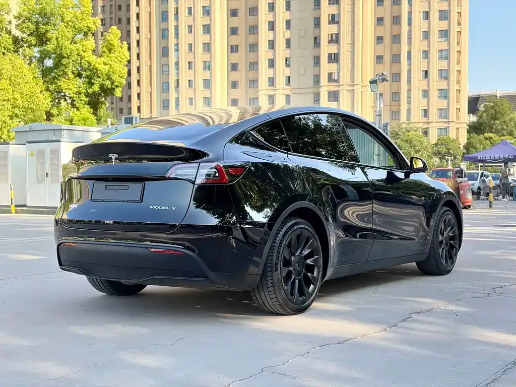 Tesla Model Y — фото 10