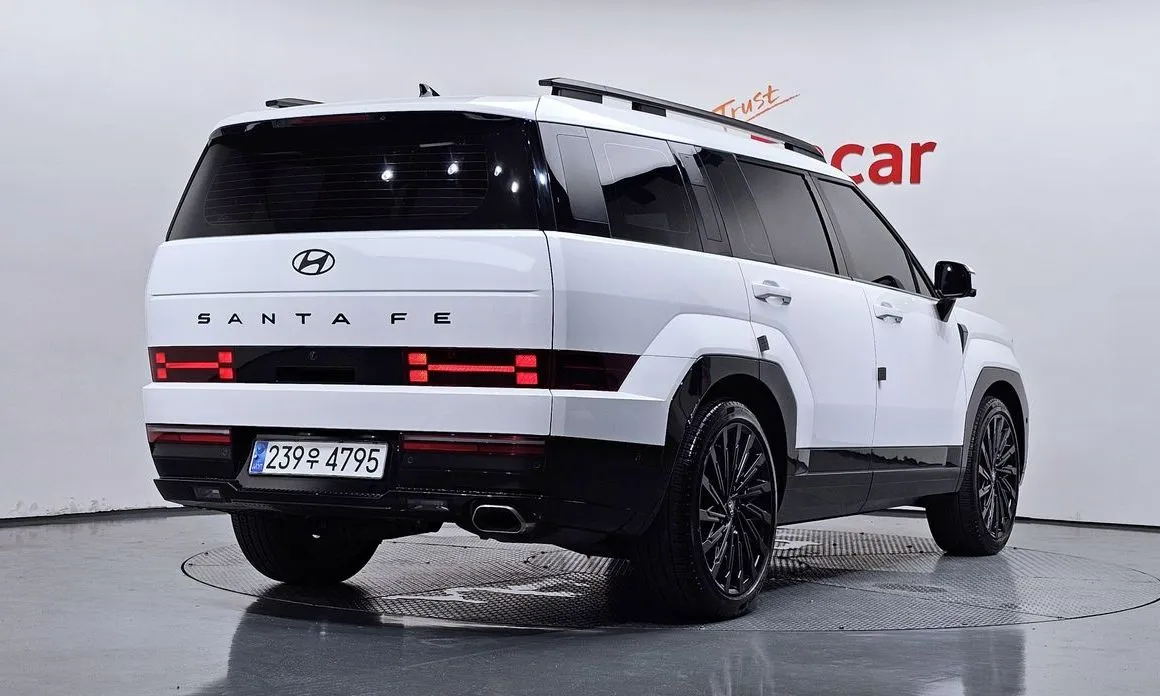 Hyundai Santafe — фото 9