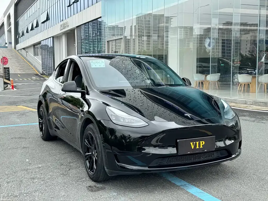 Tesla Model Y — фото 6