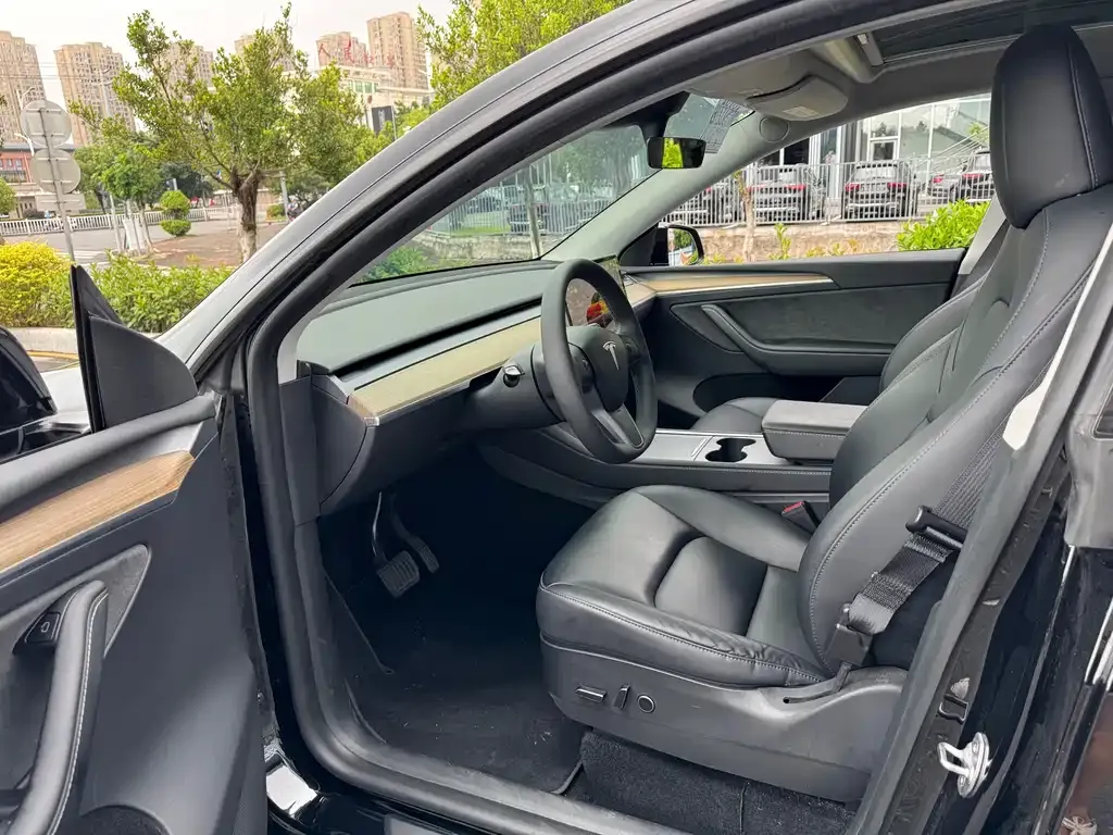Tesla Model Y — фото 2