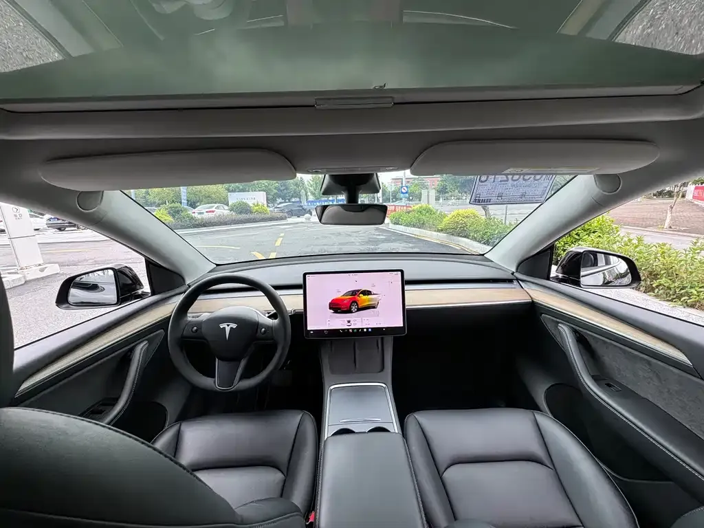 Tesla Model Y — фото 10