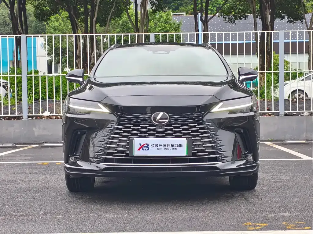 Lexus RX New Energy — фото 7