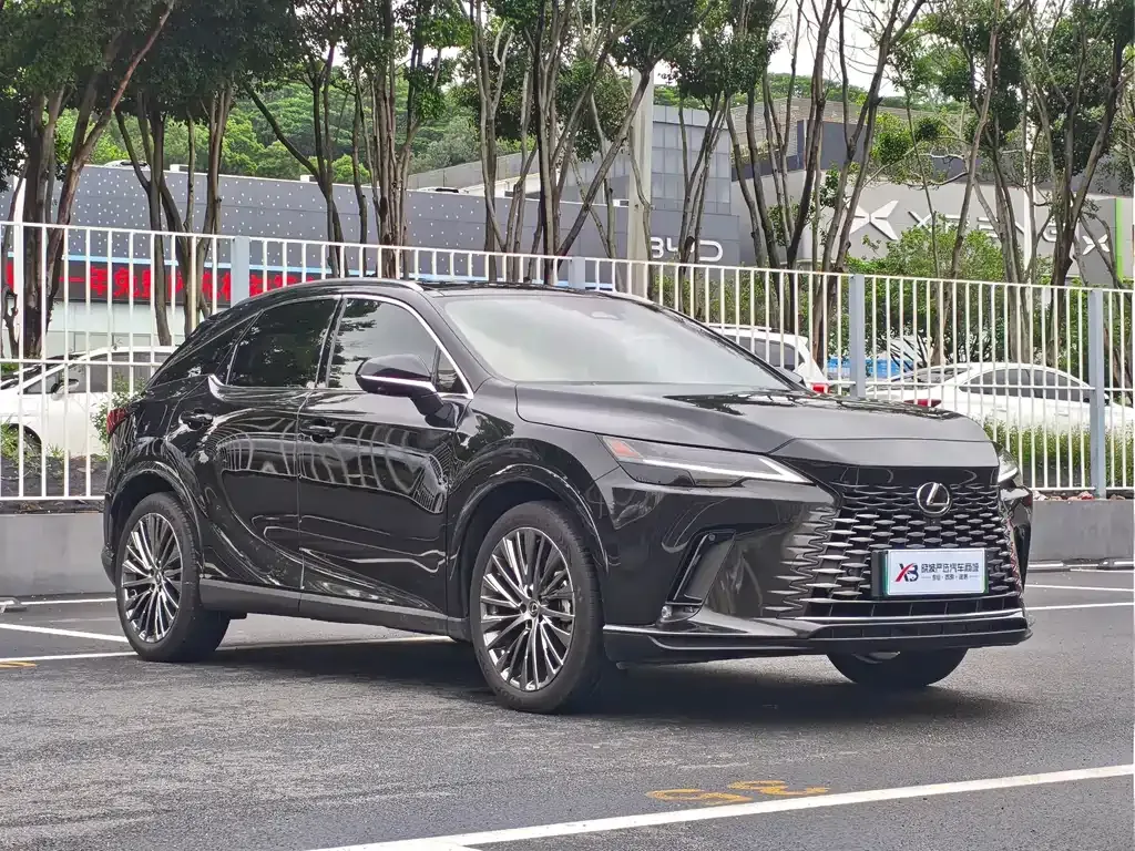 Lexus RX New Energy — фото 9