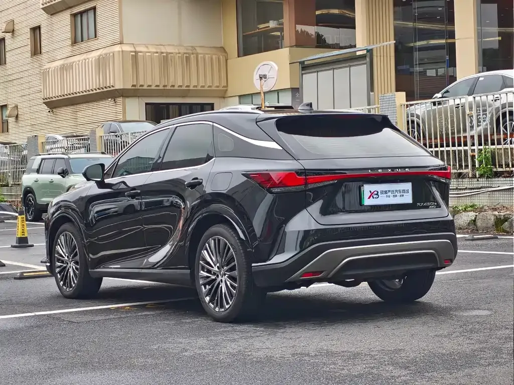 Lexus RX New Energy — фото 10