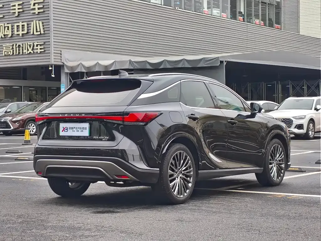 Lexus RX New Energy — фото 5