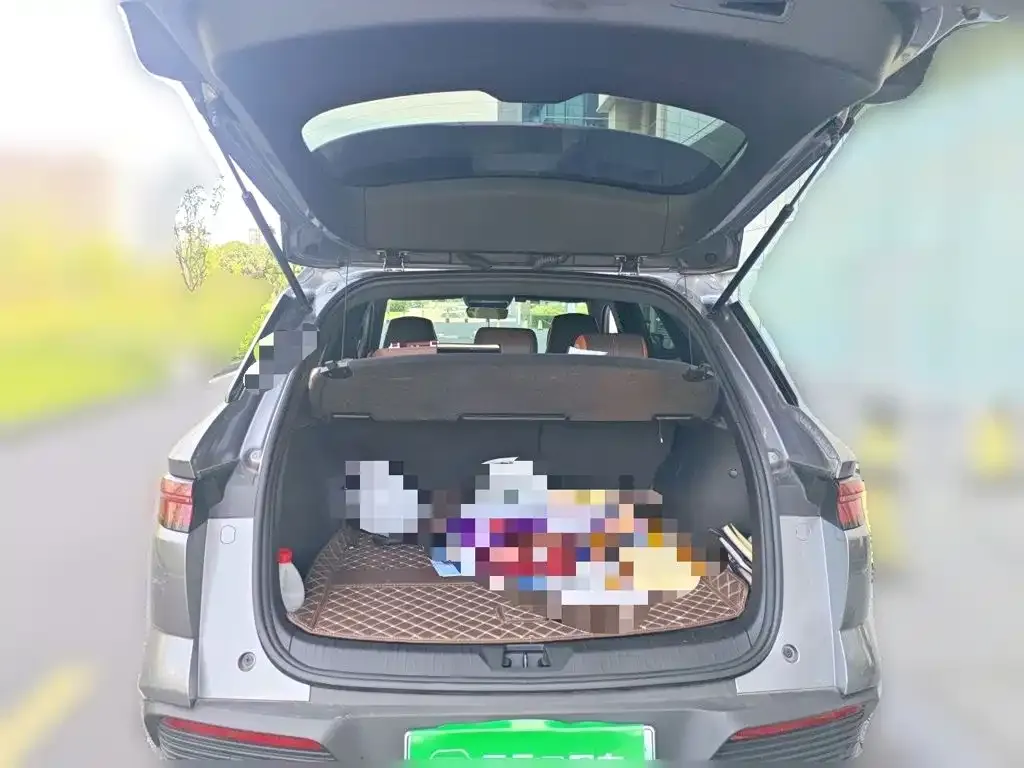BYD Pro New Energy — фото 10