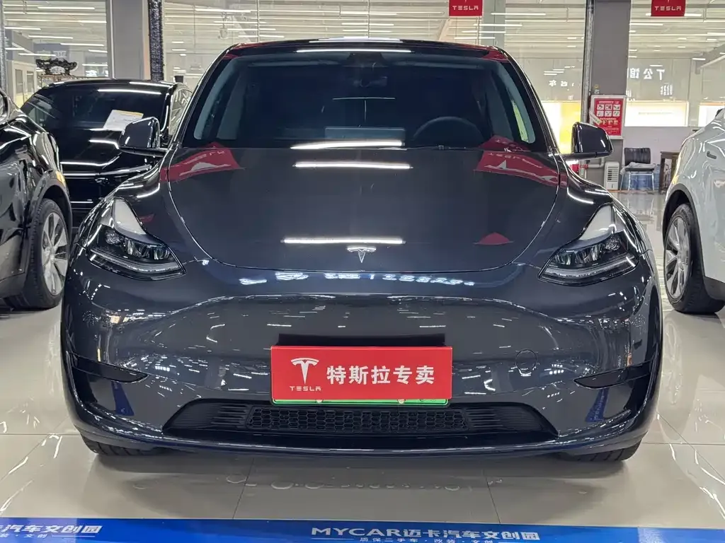 Tesla Model Y — фото 6