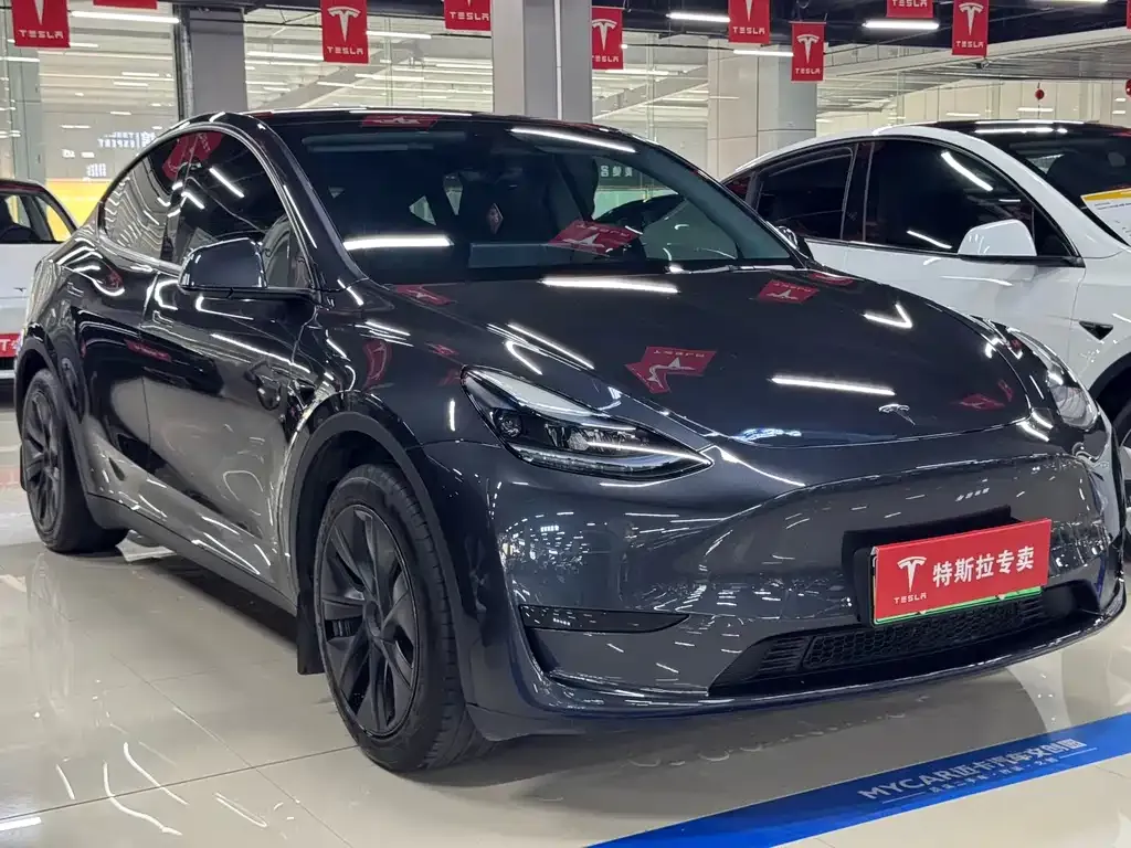 Tesla Model Y — фото 8