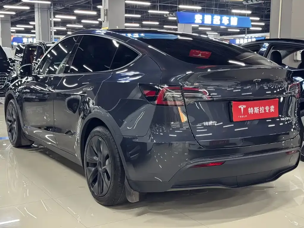 Tesla Model Y — фото 5