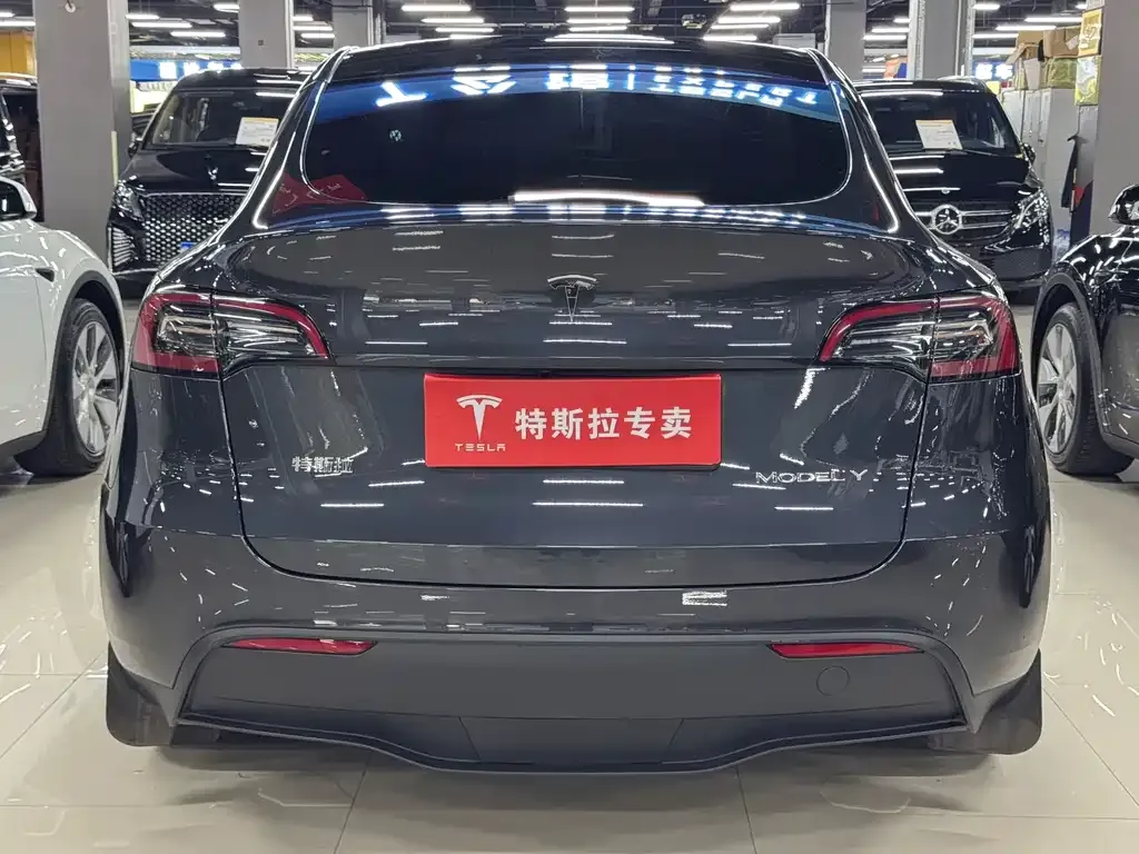 Tesla Model Y — фото 10