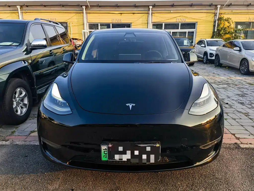 Tesla Model Y — фото 3