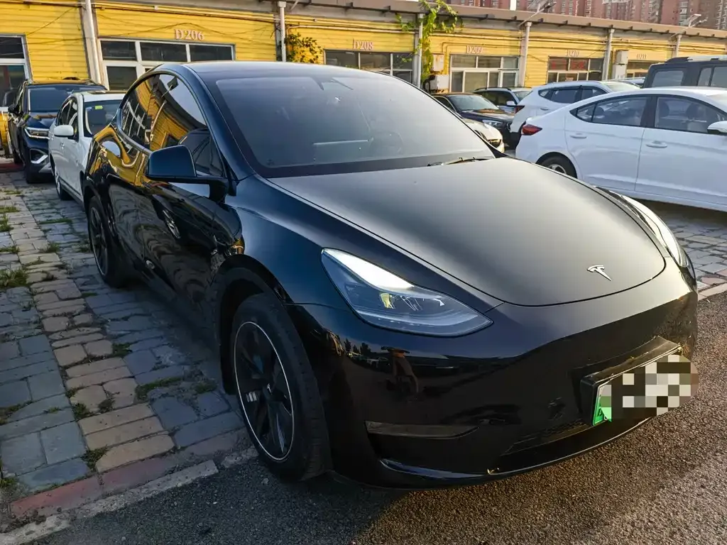 Tesla Model Y — фото 9