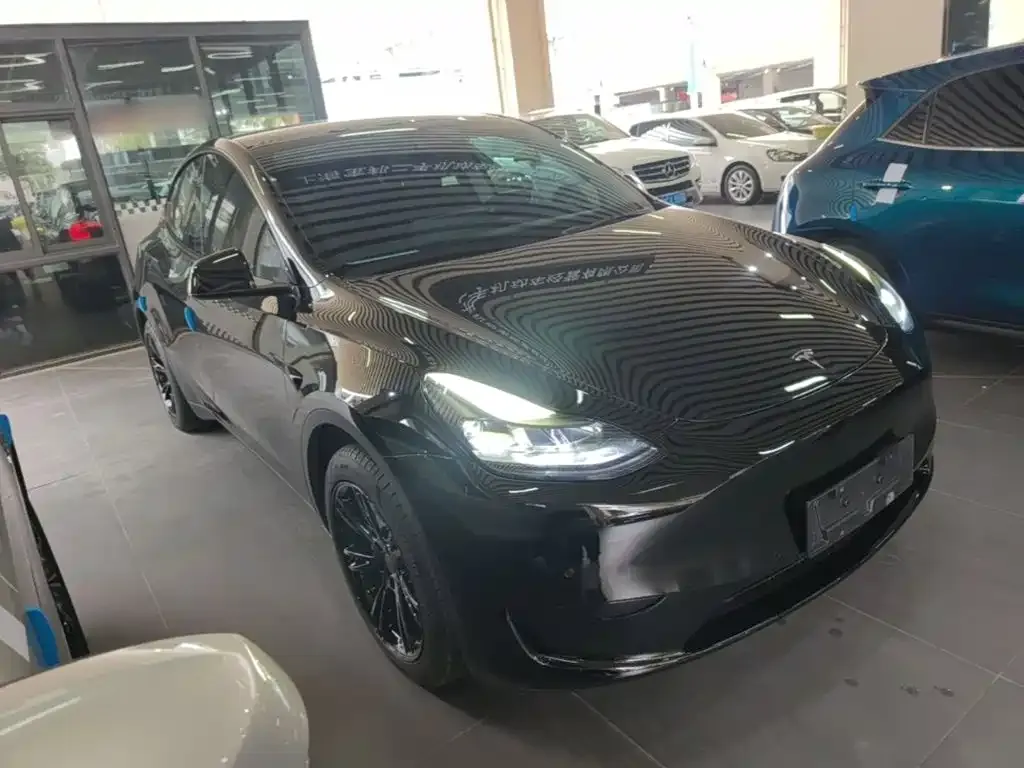 Tesla Model Y — фото 9