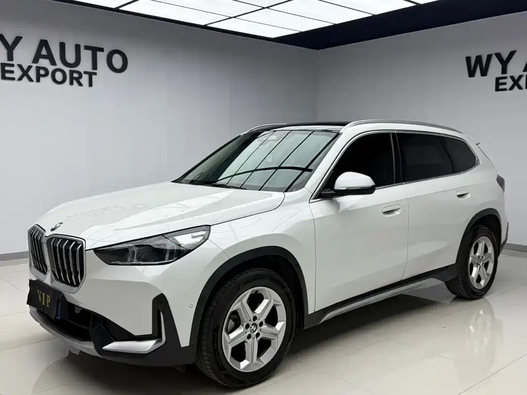 BMW X1 — фото 1